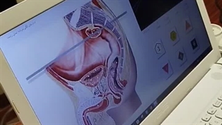 گفتاردرمانی مراجعه‌کننده از شهر کرمانشاه توسط متخصص خانم دولتشاهی در تهران