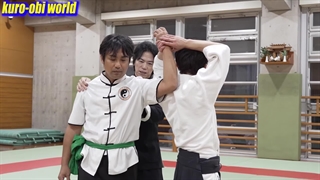 آیکیدو یا کونگ‌فو؟