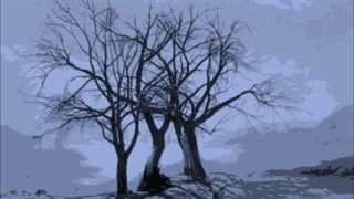 Elaheh - Bood O Nabood / بانو الهه - بود و نبود