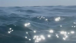 پارت بیستم و یکم رمان THE EDICTION (اعتیاد)... پارت های بعدی رو بخاطر مشغلم فعلا نمیتونم بزارم...