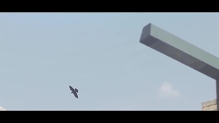 کلیپ  رد شبهه قیام خونین امام زمان