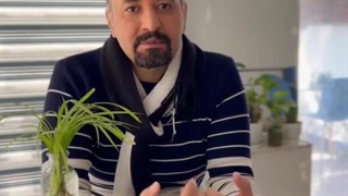 سایت سفارشی یا وردپرس؟