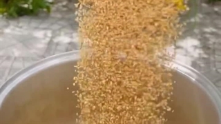 طرز تهیه حلیم گندم با مرغ