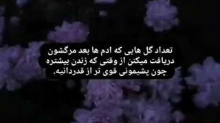 'متنی برای بیان حالم ندارم...؛!'⚓️  ‌‌‌‌‌ 