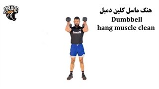 آموزش کامل حرکت هنگ ماسل کلین دمبل