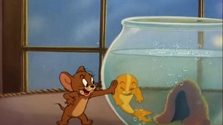 تام و جری - قسمت ۵۶