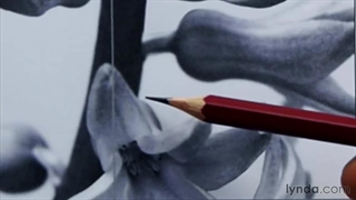 Foundations Of Drawing - S06E02 - Negative space