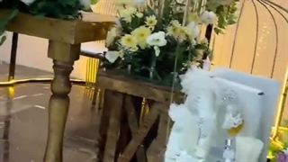 باغ عمارت سامیار در شهریار ۰۹۱۰۳۷۹۹۴۶۶