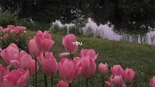 تولد جینی مبارک.