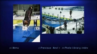 Excellent Swimming Tutorial