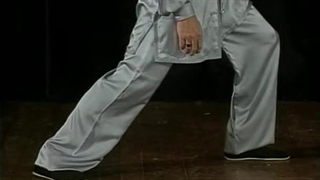 Tai Chi The 24 Forms Part 1