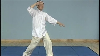 Saber Fundamenta Training Title 24