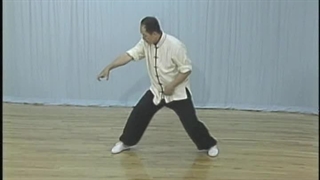 Saber Fundamenta Training Title 41