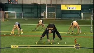 Insanity Asylum - Athletic Performance Assessment