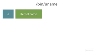 Linux Kernel and System Startup (LPIC- 2) - 01 Introduction - 02 Making Use of uname