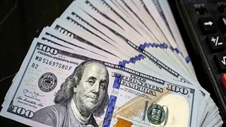 نصیری اقدم: با اینکه دلار پایین آمده، اما الان همه چیز با دلار ۱۰۰ هزار تومانی محاسبه می‌شود