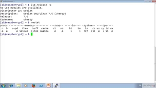 Linux Monitoring and Maintenance (LPIC-2) - 01  Introduction - 03 Using vmstat