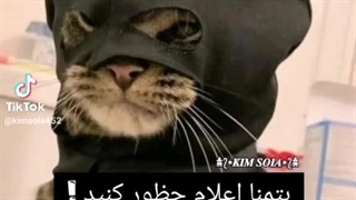 «:تولدت مبارک فاطیییی :» با اینکه با حدیث زیاد صمیمی شدی ولی خب دیگه چاره ای نداشتم چون خواهرزادمی⁦^⁠_⁠^⁩