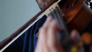 آموزشگاه ویولن موسیقی نو شیراز