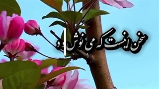 دکلمه ای ناب از اشعار اهلی شیرازی