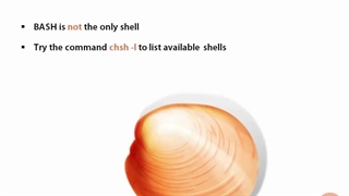 Pluralsight Linux Command Line Interface CLI Fundamentals - 02_05-Bash is Not the Only Shell