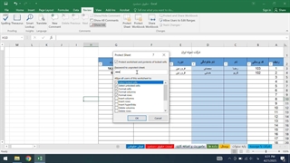 کاربرد protect sheet در اکسل