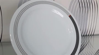 بشقاب تخت ۱۶ چینی زرین وگاس با کیفیت و دوام بالا