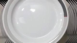 بشقاب تخت ۲۰ چینی زرین وگاس برای سرو میوه های خوشمزه