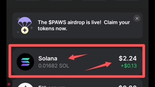 نحوه دریافت توکن پاوز PAWS به کیف پول فانتوم