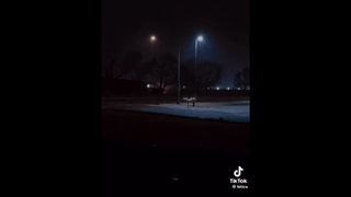 مود هانی و  فلورا و اکیپ تریاکی تو نصف روزا (: