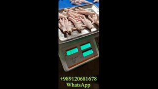 بزرگترین صادر کننده پای مرغ به هنگ کنگ با قیمت رقابتی | موبایل: 09120681678