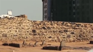 شهادت امام جعفر صادق(ع) میثم مطیعی