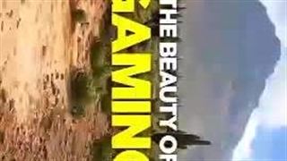 The beauty of gaming