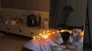 وایییی خدااااا >~< چه ذوقی میکنه^^