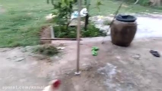 دعوای بسیار خنده دار خروس وسگ | ترس سگ از حمله خروس