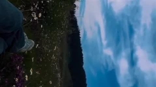 دوست دارید به کدوم کشور مهاجرت یا سفر کنید؟