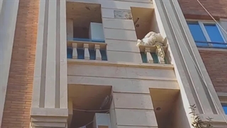 ویدیو کامل با توضیحات کامل راجع به پیچ و رولپلاک سنگ نما