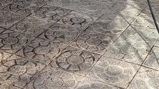 نماشویی در پیروزی،نیروی هوایی