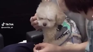 میشه یک ان -لاگ ازین 4 تا باهم داشته باشیم ؟!... خیلی ولاگ گوگولی ئی میشه...