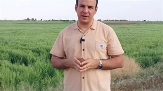 تاثیر احساسات بر زندگی ما