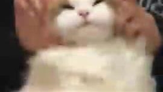 به خاطر امتحان نهایی  ویدیو کم می ذارم