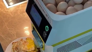 ربات های آشپزی