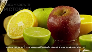 آشنایی با انواع خشکبار