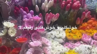 ممنون رفقا^^کپ♡