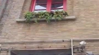 معرفی بوتیک هتل حنا تهران