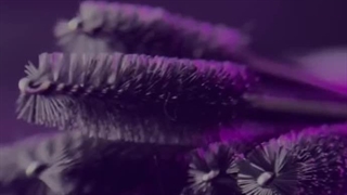 کاشت مژه در کلینیک زهرا بحیرایی