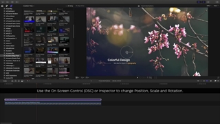 فیلم آموزش MotionVFX mLowers Mega Pack + دانلود