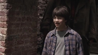 هری پاتر 1(هری پاتر و سنگ جادو)