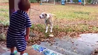 حیوانات نجات دهنده