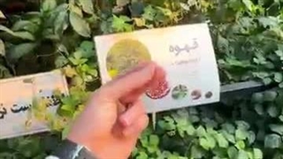 جنگل استوایی ورامین